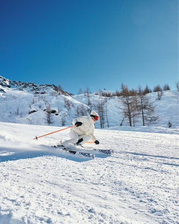resort skis