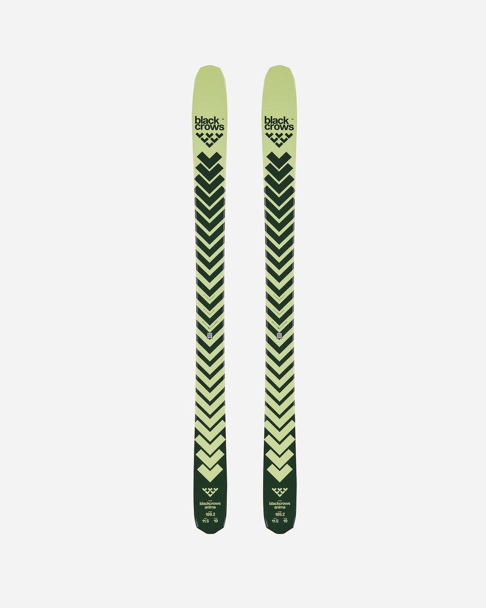 2016 salomon blue and black skis Black Crows 2026 Anima Ski 182cm