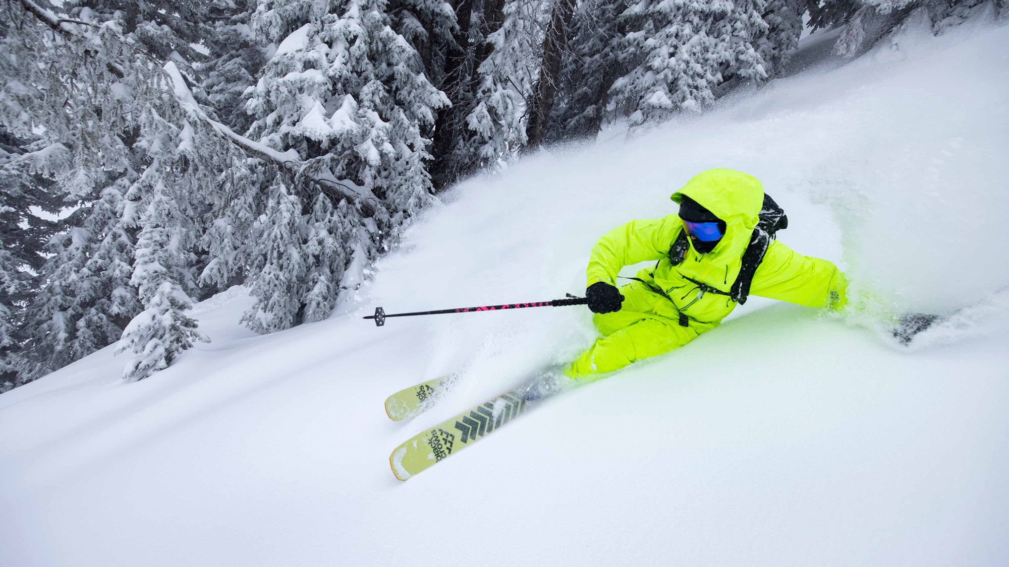 Anima – blackcrows