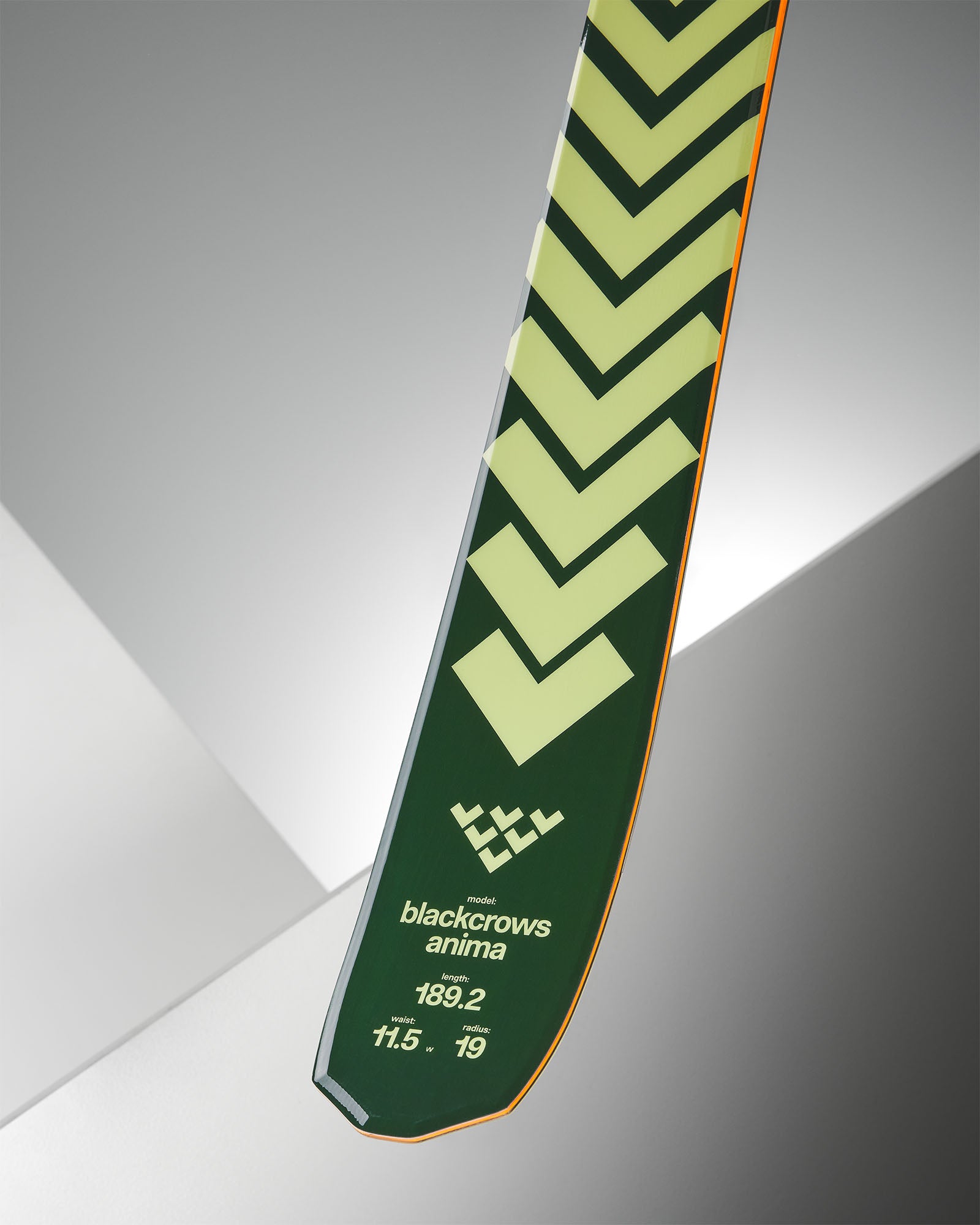 Anima – blackcrows