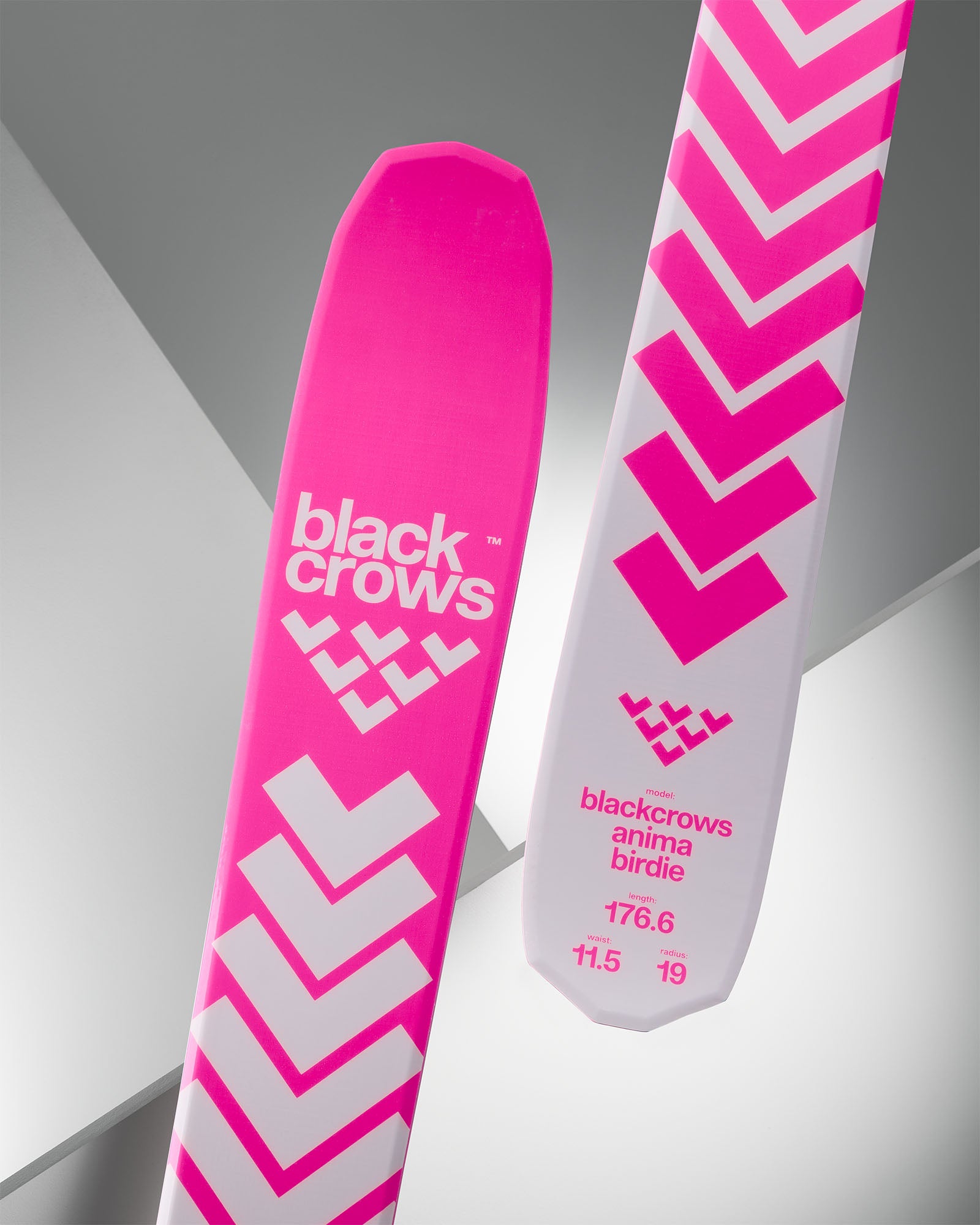 Anima Birdie – blackcrows