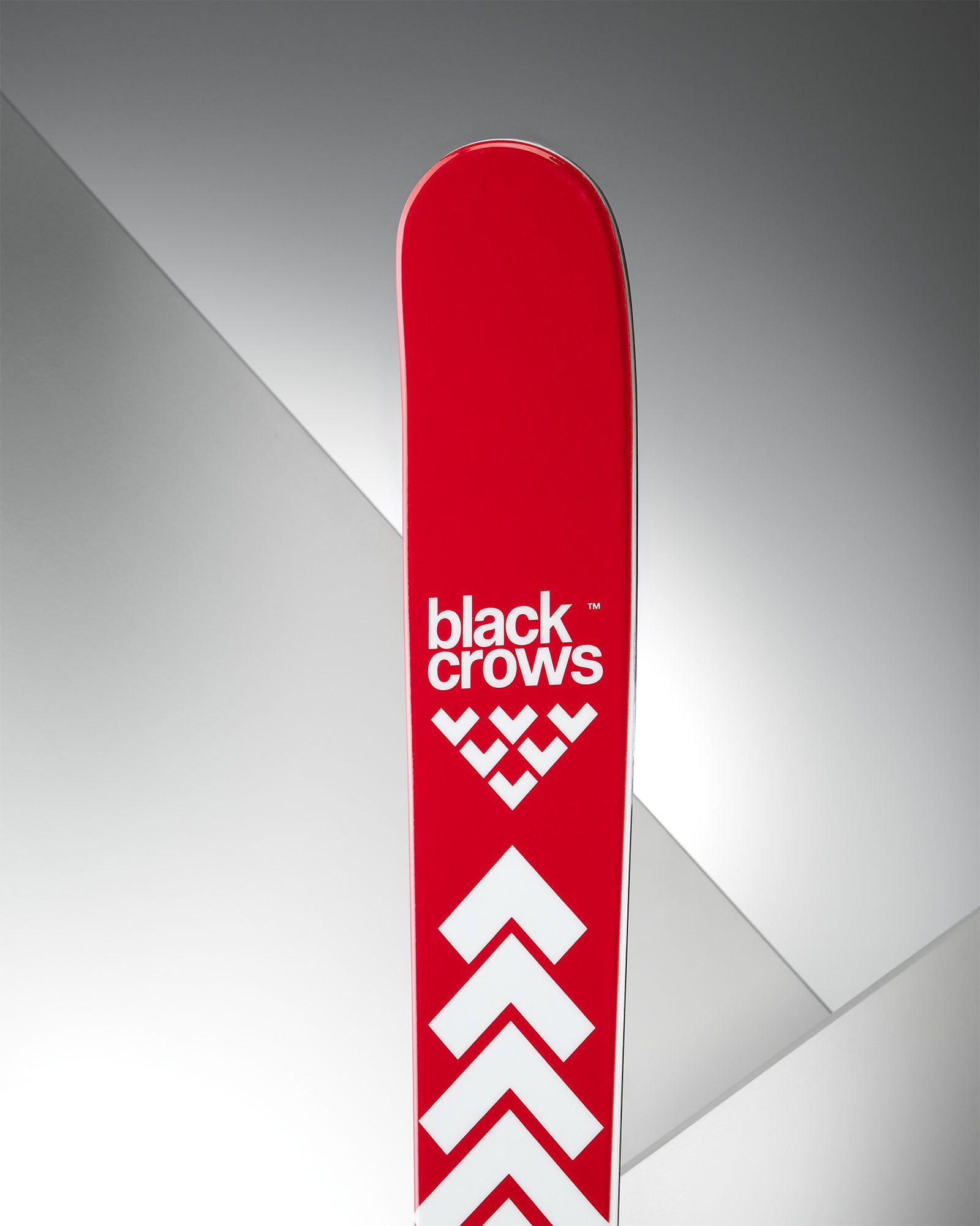 Camox Jr – blackcrows