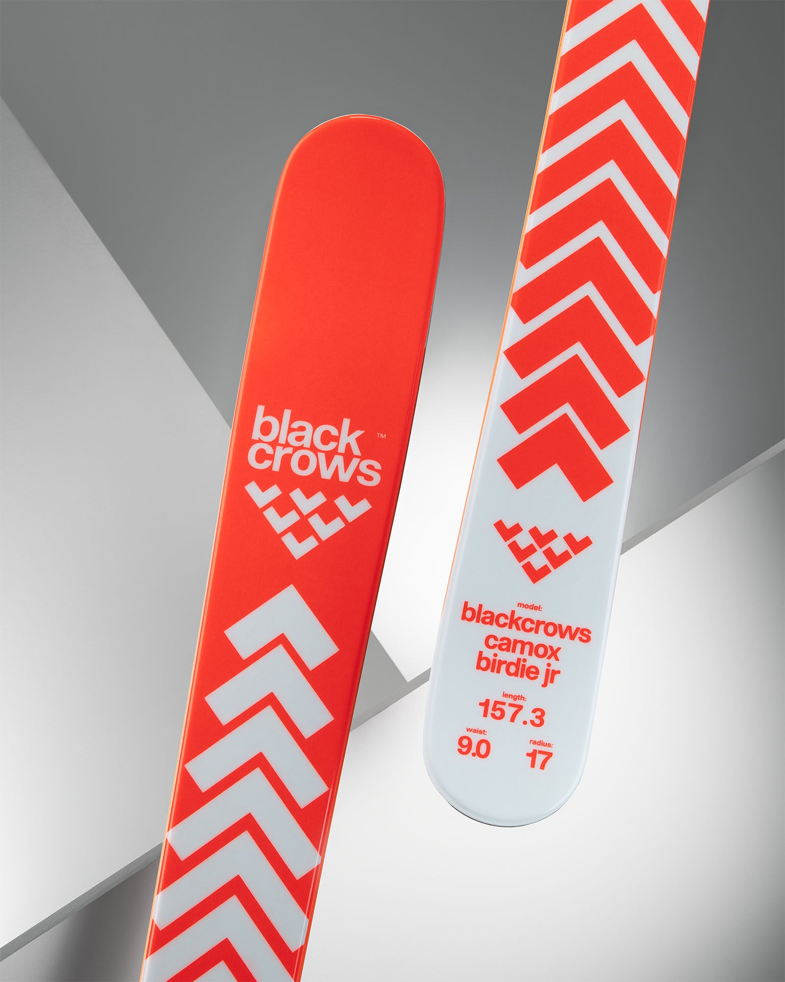 ふう　black crows camox jr 157 シール付き Buy Black Crows camox Jr Skis online at Sport Conrad