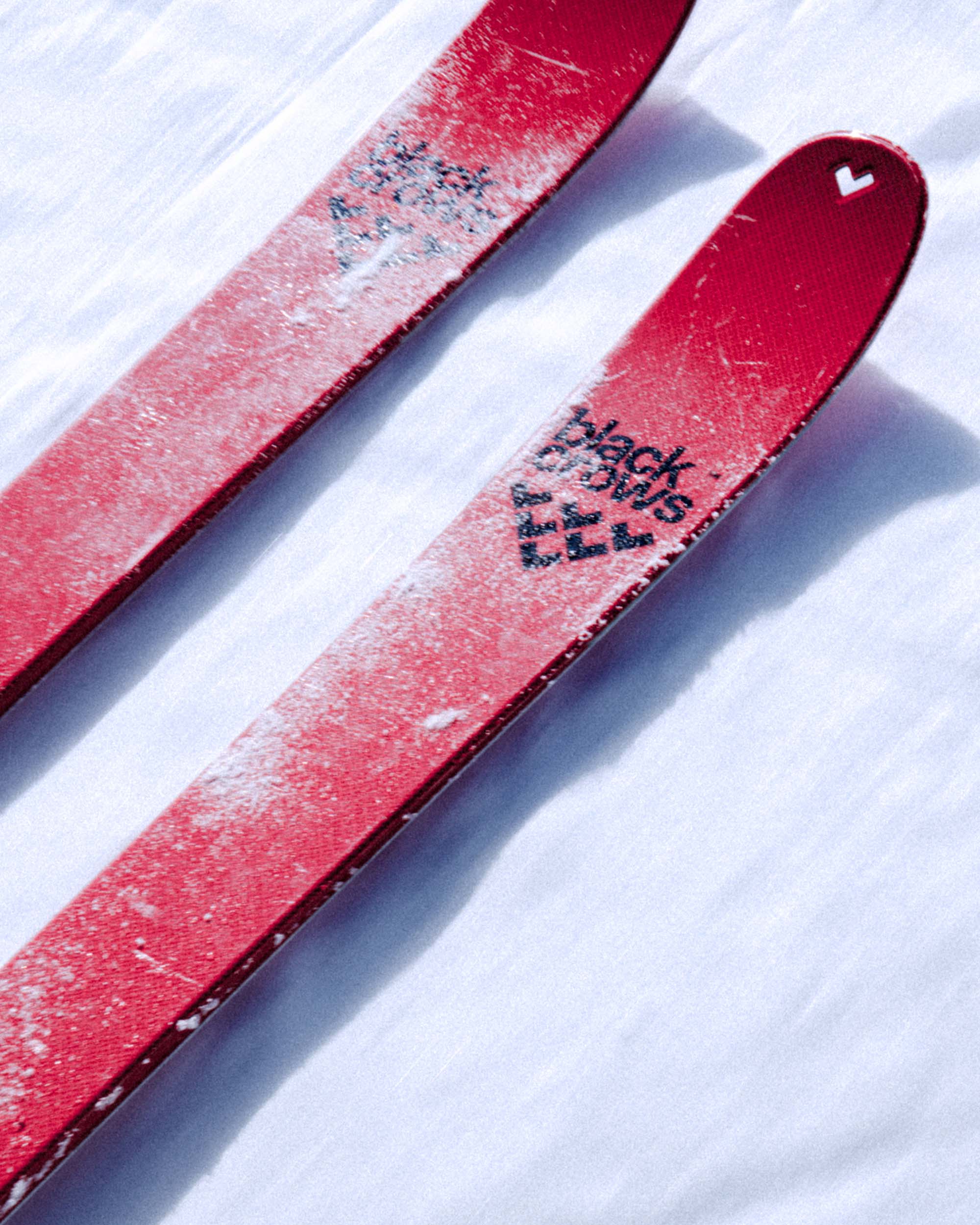 Duos Freebird Poles – blackcrows