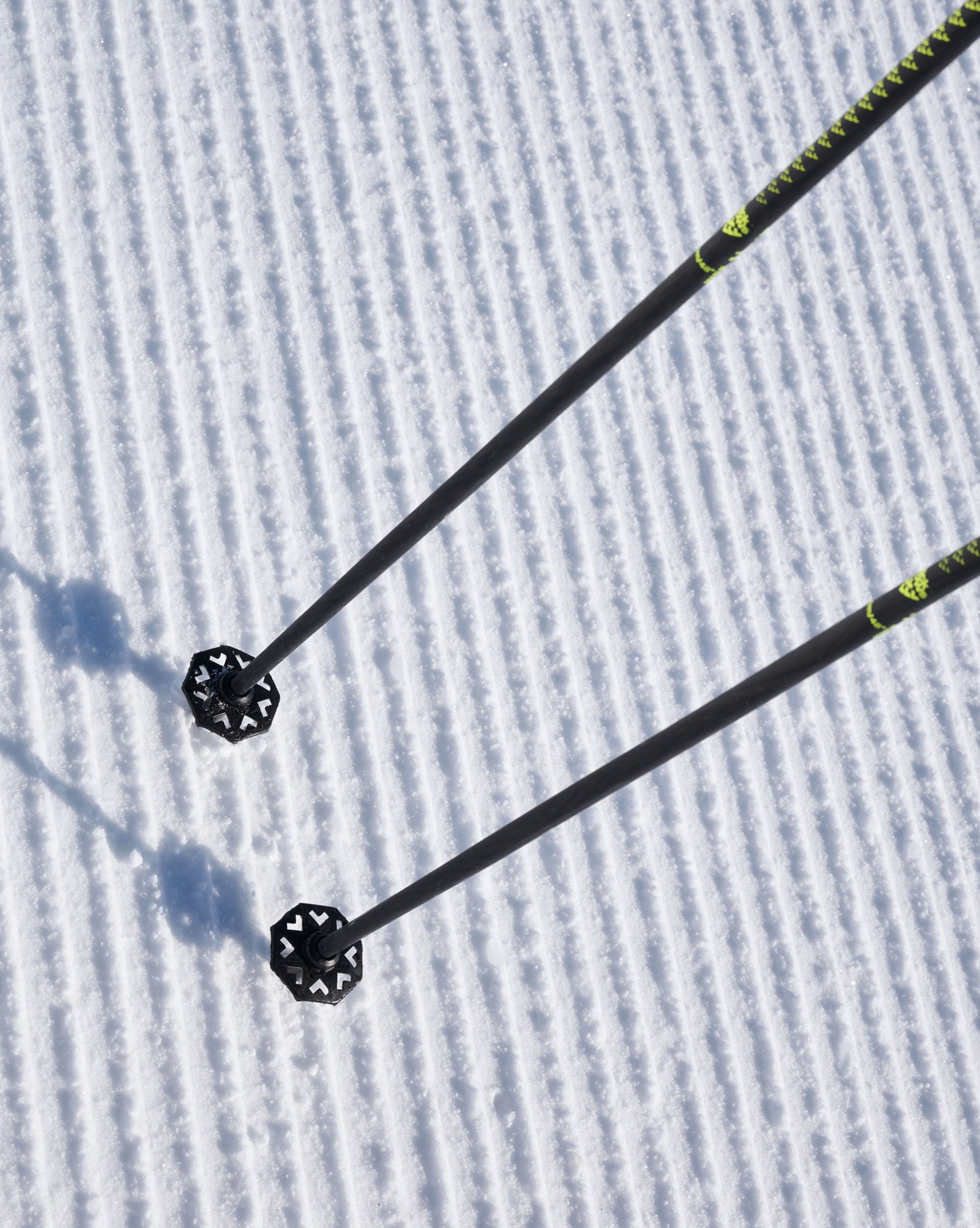 Camox – blackcrows