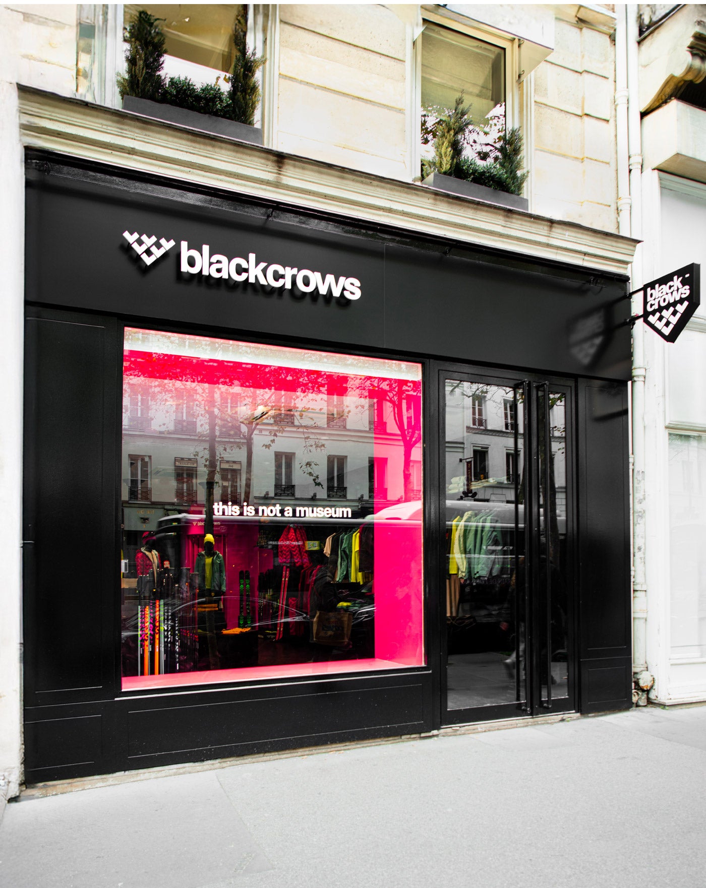 Nests – blackcrows